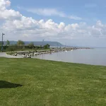 In 41050 *